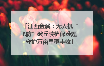 江西金溪：无人机“飞防”破丘陵植保难题 守护万亩早稻丰收