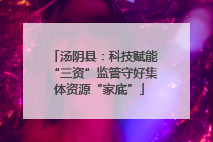 汤阴县：科技赋能“三资”监管守好集体资源“家底”
