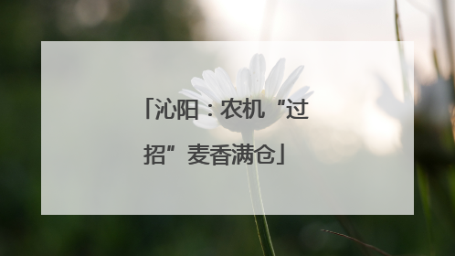 沁阳：农机“过招”麦香满仓