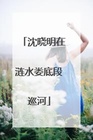 沈晓明在涟水娄底段巡河