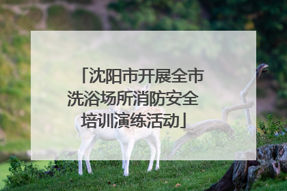 沈阳市开展全市洗浴场所消防安全培训演练活动