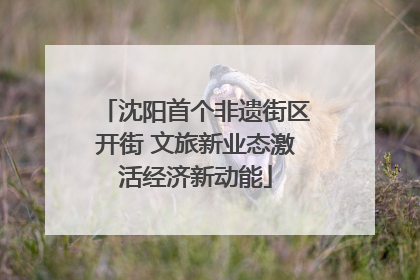 沈阳首个非遗街区开街 文旅新业态激活经济新动能
