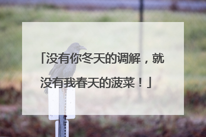 没有你冬天的调解，就没有我春天的菠菜！