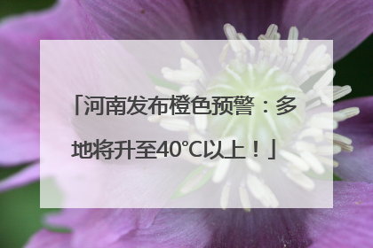 河南发布橙色预警：多地将升至40℃以上！