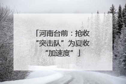 河南台前：抢收“突击队”为夏收“加速度”