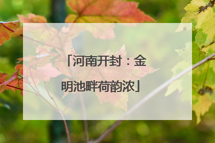 河南开封：金明池畔荷韵浓