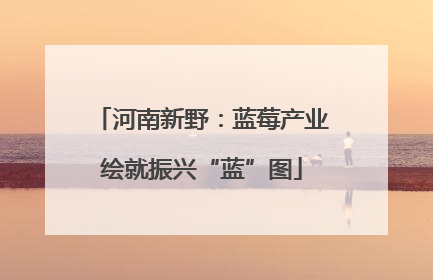 河南新野：蓝莓产业绘就振兴“蓝”图