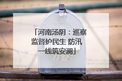 河南汤阴：巡察监督护民生 防汛一线筑安澜