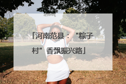 河南范县：“粽子村”香飘振兴路