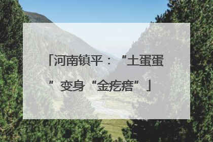 河南镇平：“土蛋蛋”变身“金疙瘩”