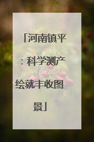 河南镇平：科学测产绘就丰收图景