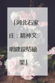 河北石家庄：精神文明建设结硕果