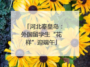 河北秦皇岛：外国留学生“花样”迎端午