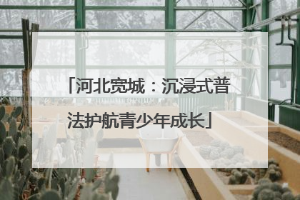河北宽城：沉浸式普法护航青少年成长