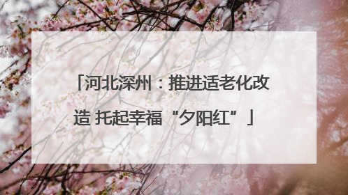 河北深州：推进适老化改造 托起幸福“夕阳红”