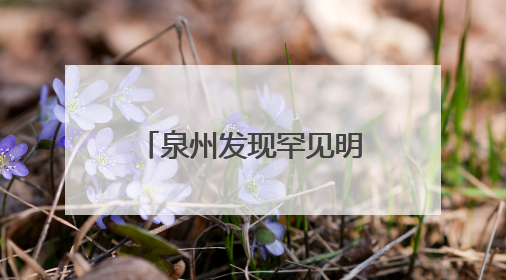 泉州发现罕见明代早期木构建筑