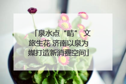 泉水点“睛” 文旅生花 济南以泉为媒打造新消费空间