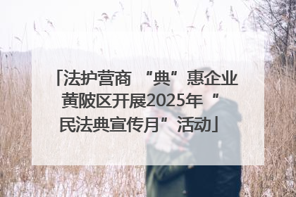 法护营商 “典”惠企业 黄陂区开展2025年“民法典宣传月”活动