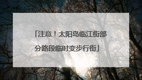 注意！太阳岛临江街部分路段临时变步行街