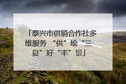 泰兴市供销合作社多维服务 “供”绘“三夏”好“丰”景