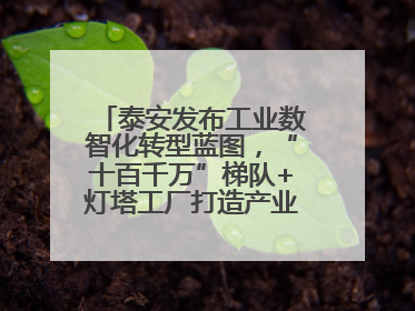 泰安发布工业数智化转型蓝图，“十百千万”梯队+灯塔工厂打造产业新标杆