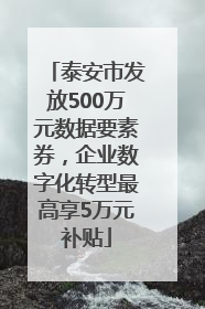 泰安市发放500万元数据要素券，企业数字化转型最高享5万元补贴