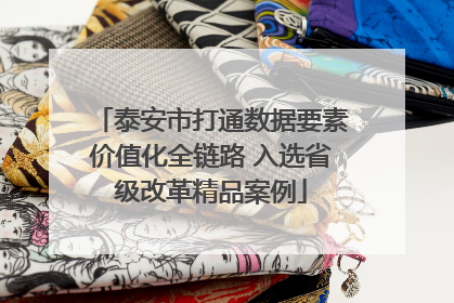 泰安市打通数据要素价值化全链路 入选省级改革精品案例