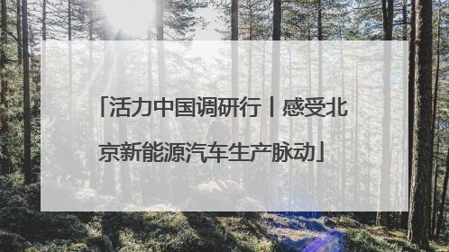 活力中国调研行丨感受北京新能源汽车生产脉动