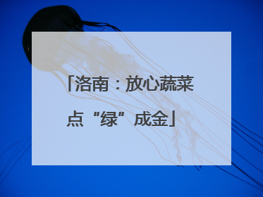 洛南：放心蔬菜点“绿”成金