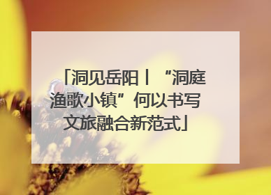 洞见岳阳丨“洞庭渔歌小镇”何以书写文旅融合新范式