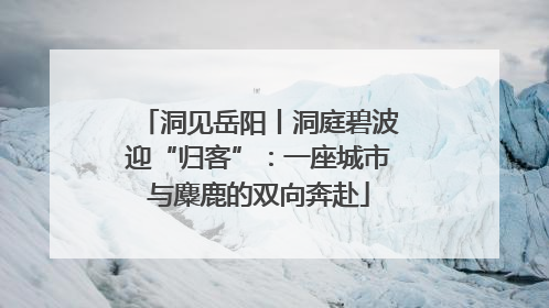 洞见岳阳丨洞庭碧波迎“归客”：一座城市与麋鹿的双向奔赴