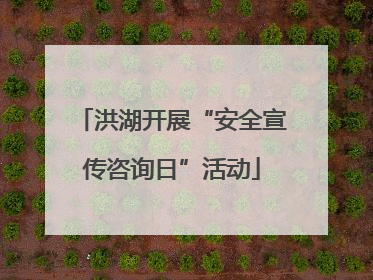 洪湖开展“安全宣传咨询日”活动