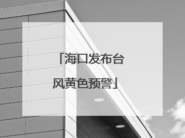 海口发布台风黄色预警
