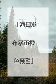海口发布暴雨橙色预警