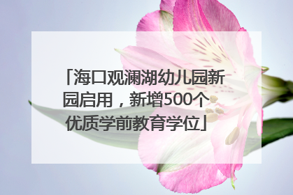 海口观澜湖幼儿园新园启用，新增500个优质学前教育学位