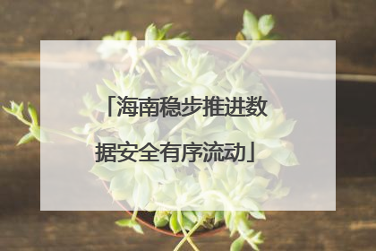 海南稳步推进数据安全有序流动