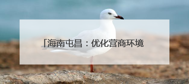 海南屯昌：优化营商环境 促进一二三产业融合发展