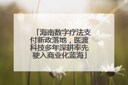 海南数字疗法支付新政落地，医渡科技多年深耕率先驶入商业化蓝海