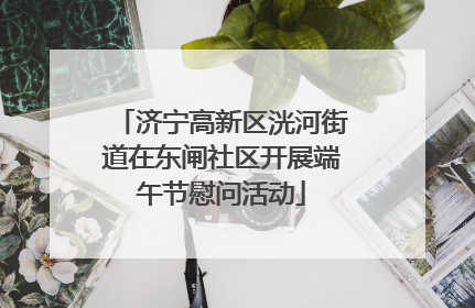 济宁高新区洸河街道在东闸社区开展端午节慰问活动