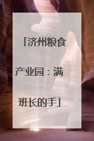 济州粮食产业园：满班长的手