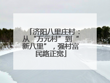 济阳八里庄村：从“万元村”到“新八里”，强村富民路正宽