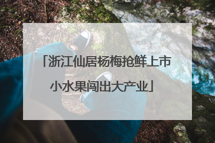浙江仙居杨梅抢鲜上市 小水果闯出大产业