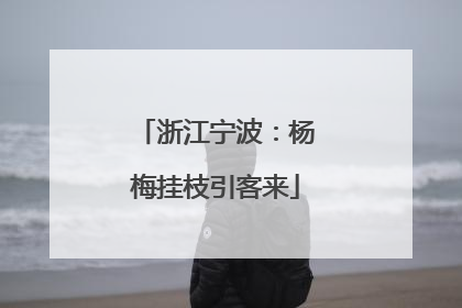 浙江宁波：杨梅挂枝引客来