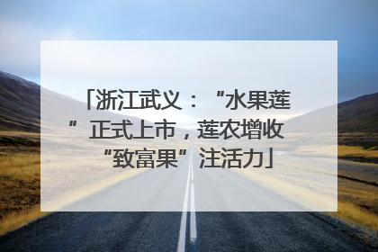 浙江武义：“水果莲”正式上市，莲农增收“致富果”注活力