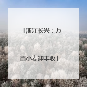 浙江长兴：万亩小麦迎丰收