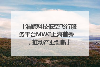浩鲸科技低空飞行服务平台MWC上海首秀，推动产业创新