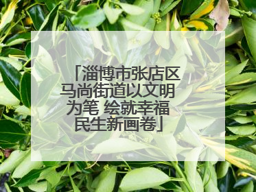 淄博市张店区马尚街道以文明为笔 绘就幸福民生新画卷