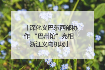 深化义巴东西部协作 “巴州馆”亮相浙江义乌机场