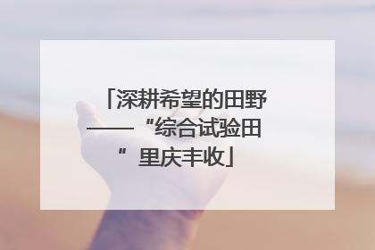 深耕希望的田野——“综合试验田”里庆丰收