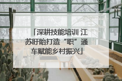 深耕技能培训 江苏盱眙打造“职”通车赋能乡村振兴